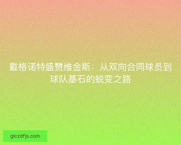 戴格诺特盛赞维金斯：从双向合同球员到球队基石的蜕变之路