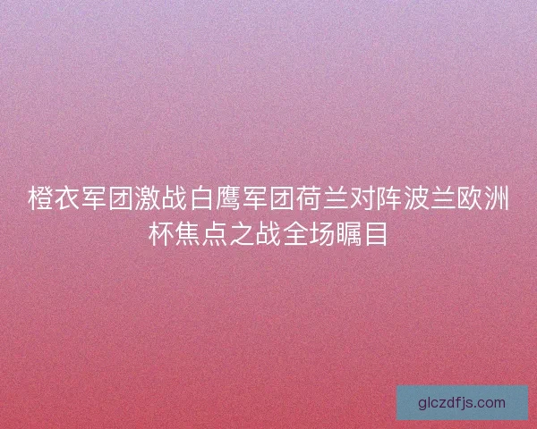 橙衣军团激战白鹰军团荷兰对阵波兰欧洲杯焦点之战全场瞩目
